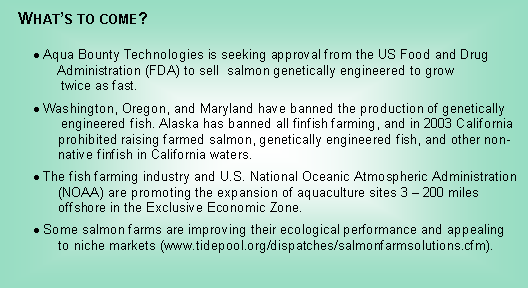 Text Box:   Whats to come?  Aqua Bounty Technologies is seeking approval from the US Food and Drug       Administration (FDA) to sell  salmon genetically engineered to grow        twice as fast. Washington, Oregon, and Maryland have banned the production of genetically        engineered fish. Alaska has banned all finfish farming, and in 2003 California prohibited raising farmed salmon, genetically engineered fish, and other non-native finfish in California waters. The fish farming industry and U.S. National Oceanic Atmospheric Administration (NOAA) are promoting the expansion of aquaculture sites 3  200 miles offshore in the Exclusive Economic Zone.  Some salmon farms are improving their ecological performance and appealing to niche markets (www.tidepool.org/dispatches/salmonfarmsolutions.cfm).